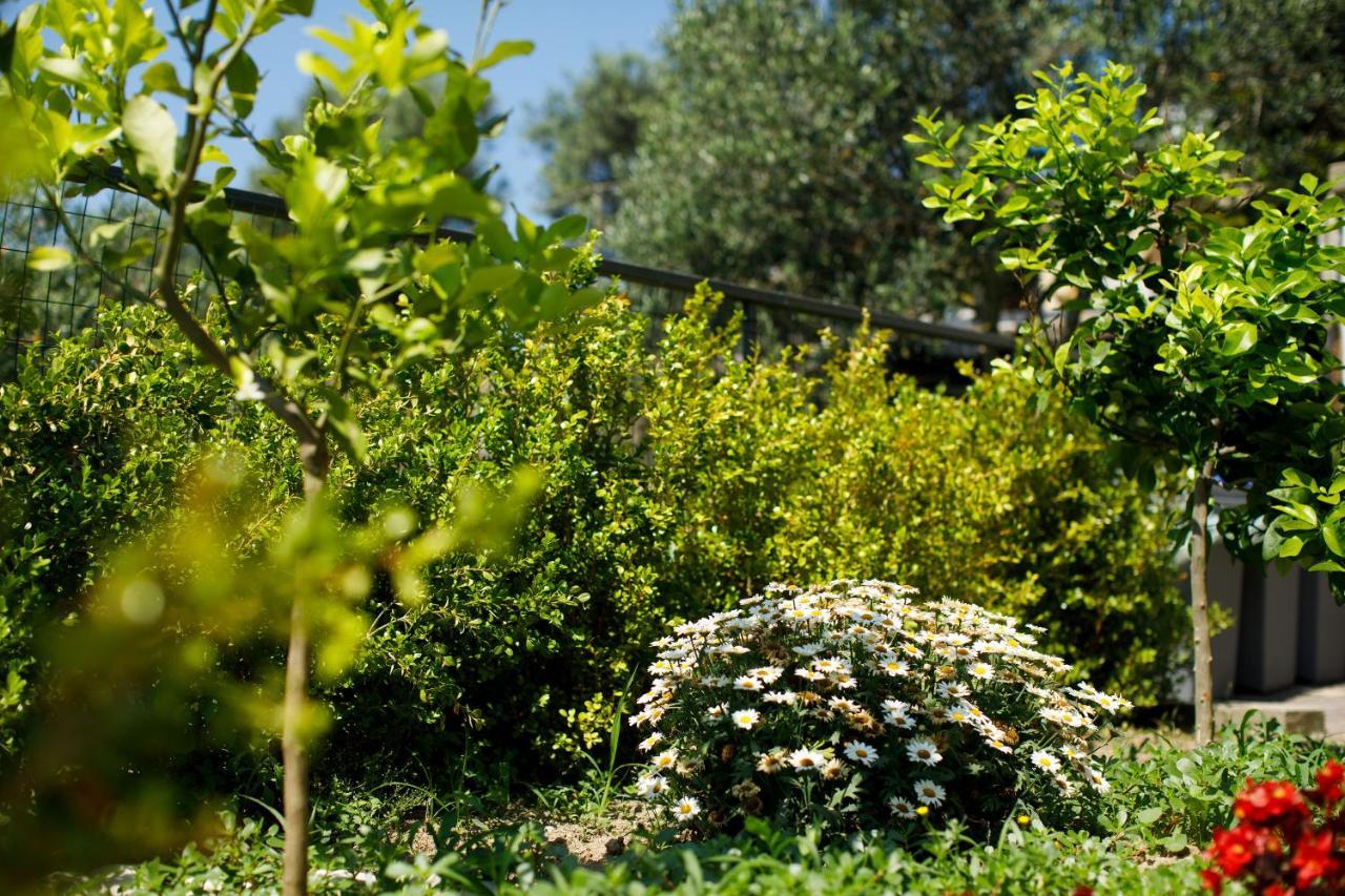 Casa Del Saraceno Villa Massa Lubrense Dış mekan fotoğraf